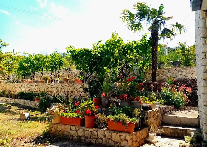 5 Vinišće